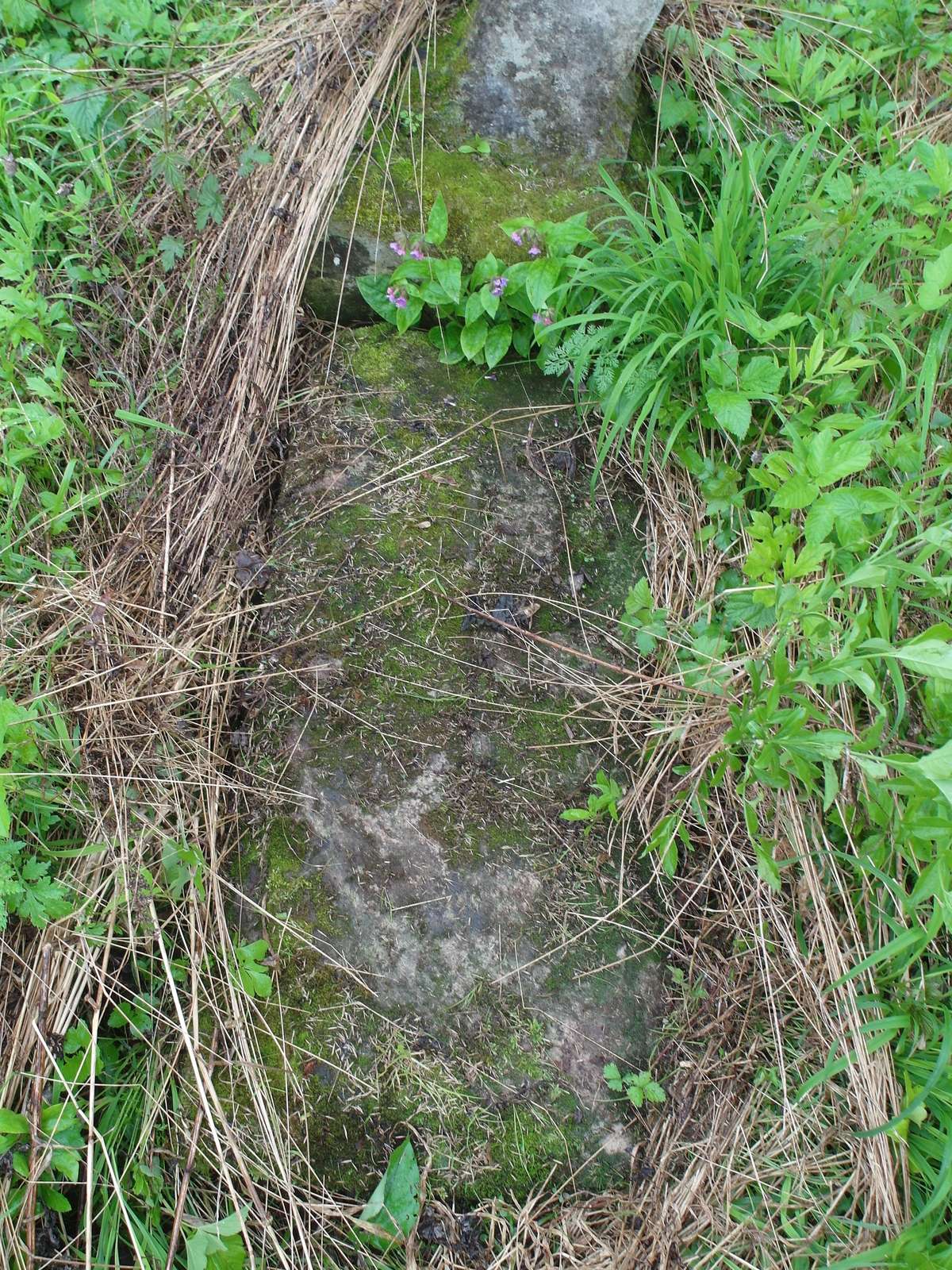 Gravestone of Maria Dziduch, cemetery in Oprylovce