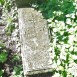 Photo montrant Tombstone of Francis Wierzegi