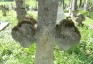 Photo montrant Tombstone of Marceli Rodowicz