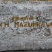 Альтернативний текст фотографії