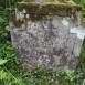 Fotografia przedstawiająca Tombstone of Róża Bielecka