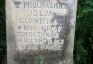 Fotografia przedstawiająca Nagrobek Julii Głowickiej
