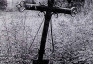 Альтернативний текст фотографії