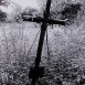 Альтернативний текст фотографії