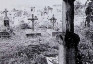 Fotografia przedstawiająca Nagrobek Anny i Jana Hołodowskich