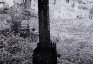 Альтернативний текст фотографії