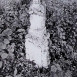 Fotografia przedstawiająca Nagrobek Zygmunta Hutnika