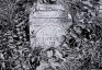 Photo showing Tombstone of Piotr Krzyworonczek