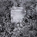 Photo showing Tombstone of Piotr Krzyworonczek