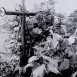 Fotografia przedstawiająca Nagrobek Karola i Tekli Romanów