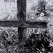 Photo montrant Tombstone of [Ja]nina Tolodowska