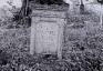 Fotografia przedstawiająca Nagrobek Jan Trautzla