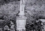 Photo montrant Tombstone of Anastasia and Tomasz Waszczyszyn