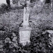 Photo montrant Tombstone of Anastasia and Tomasz Waszczyszyn