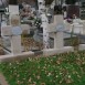 Fotografia przedstawiająca Polska kwatera na cmentarzu Kisasszony