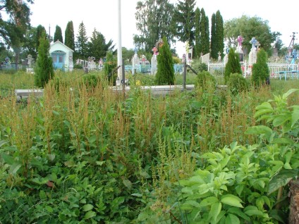 Groby ofiar Ukraińskiej Powstańczej Armii (UPA)