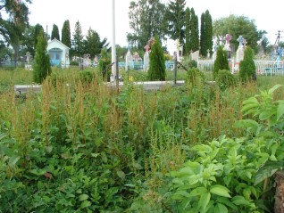 Groby ofiar Ukraińskiej Powstańczej Armii (UPA)