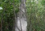 Photo montrant Tombstone of Honorata, Jan and Piotr Domski