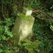 Photo montrant Gravestone of Ludwika Dorczak