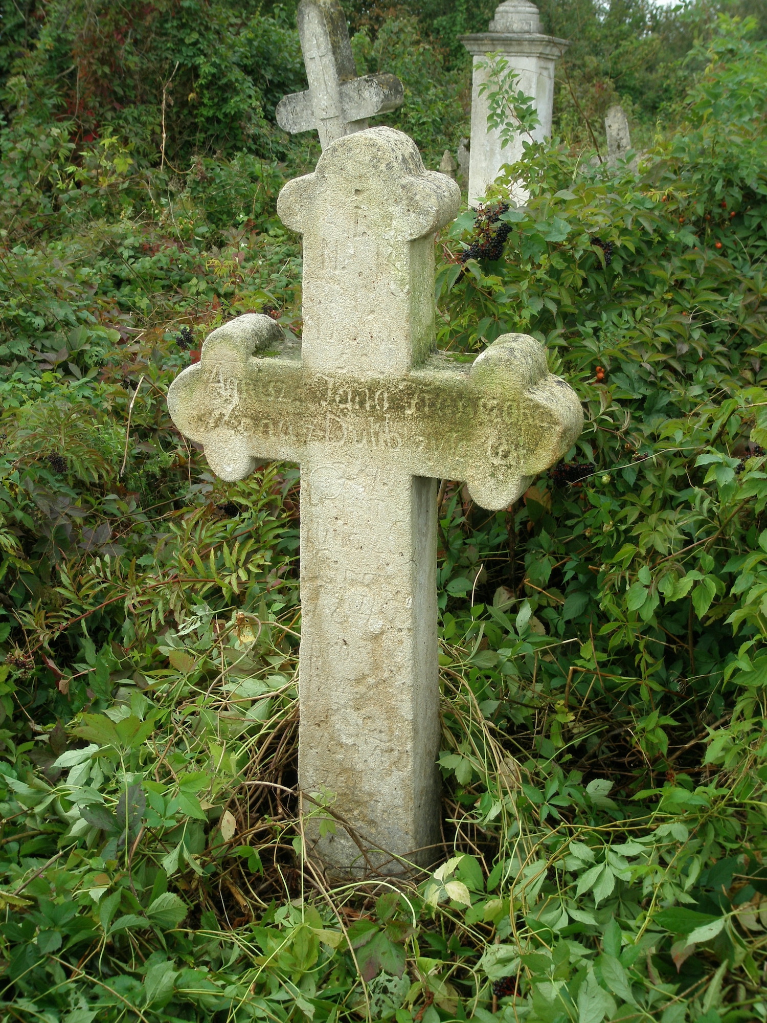 Photo montrant Tombstone of Franciszka Annisz