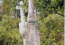 Photo montrant Tombstone of Helena and Jakub Baczyński