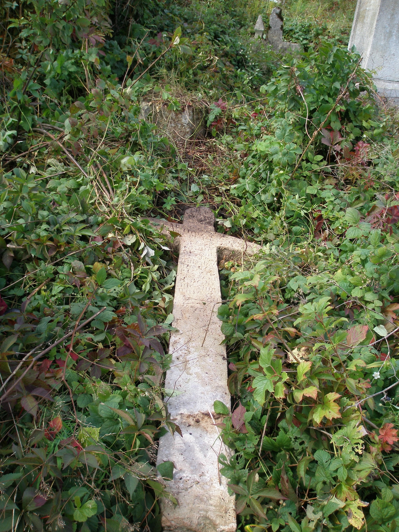 Nagrobek Leona Bardowskiego, cmentarz w Jazłowcu, stan z 2006 r.