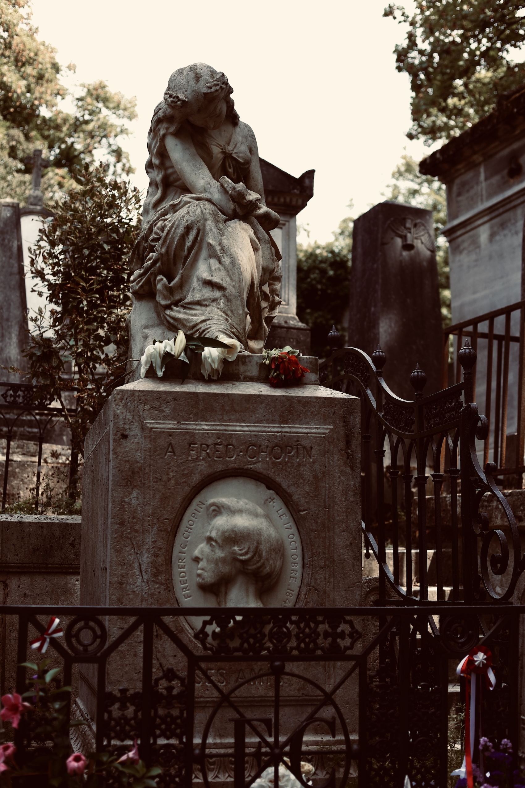 Альтернативний текст фотографії