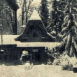 Альтернативний текст фотографії