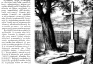Photo showing Description of Karolina Proniewska\'s grave