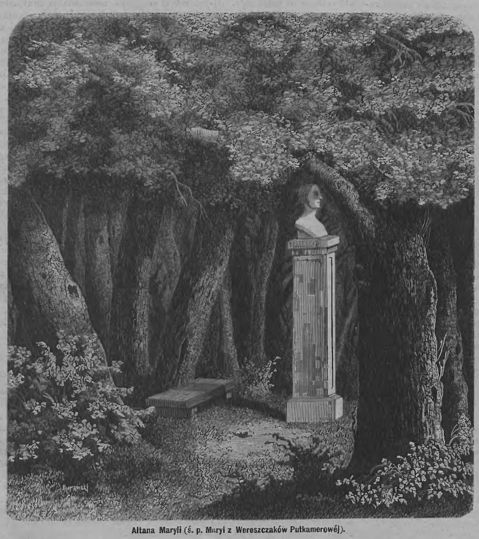 Fotografia przedstawiająca Description of Maryla\'s gazebo and Mickiewicz birch tree in Tuhanovichi