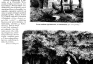 Photo showing Description of Maryla\'s gazebo and Mickiewicz birch tree in Tuhanovichi