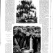 Fotografia przedstawiająca Description of Maryla\'s gazebo and Mickiewicz birch tree in Tuhanovichi
