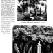 Photo showing Description of Maryla\'s gazebo and Mickiewicz birch tree in Tuhanovichi