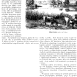 Photo showing Description of Slavut