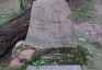Альтернативний текст фотографії