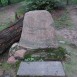 Альтернативний текст фотографії