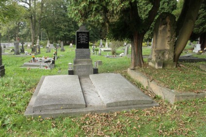 Nagrobek rodziny Niemec i Józefa Swaczyny