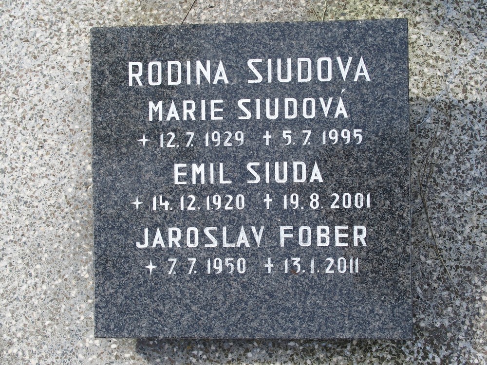 Photo montrant Tombstone of the Jędrzejko, Budzinski and Siudov families