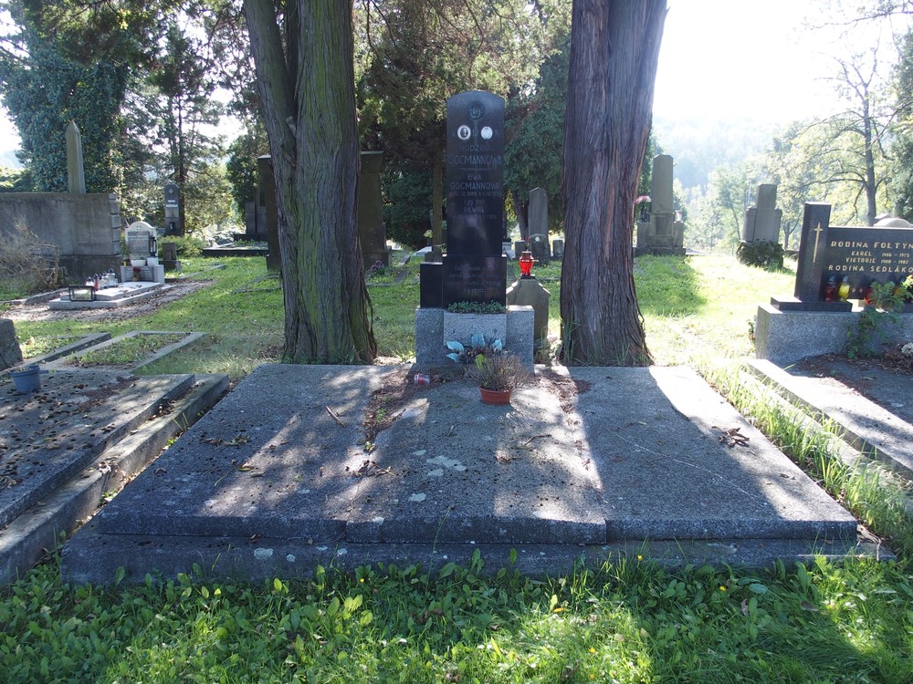 Fotografia przedstawiająca Tombstone of the Gocmann family