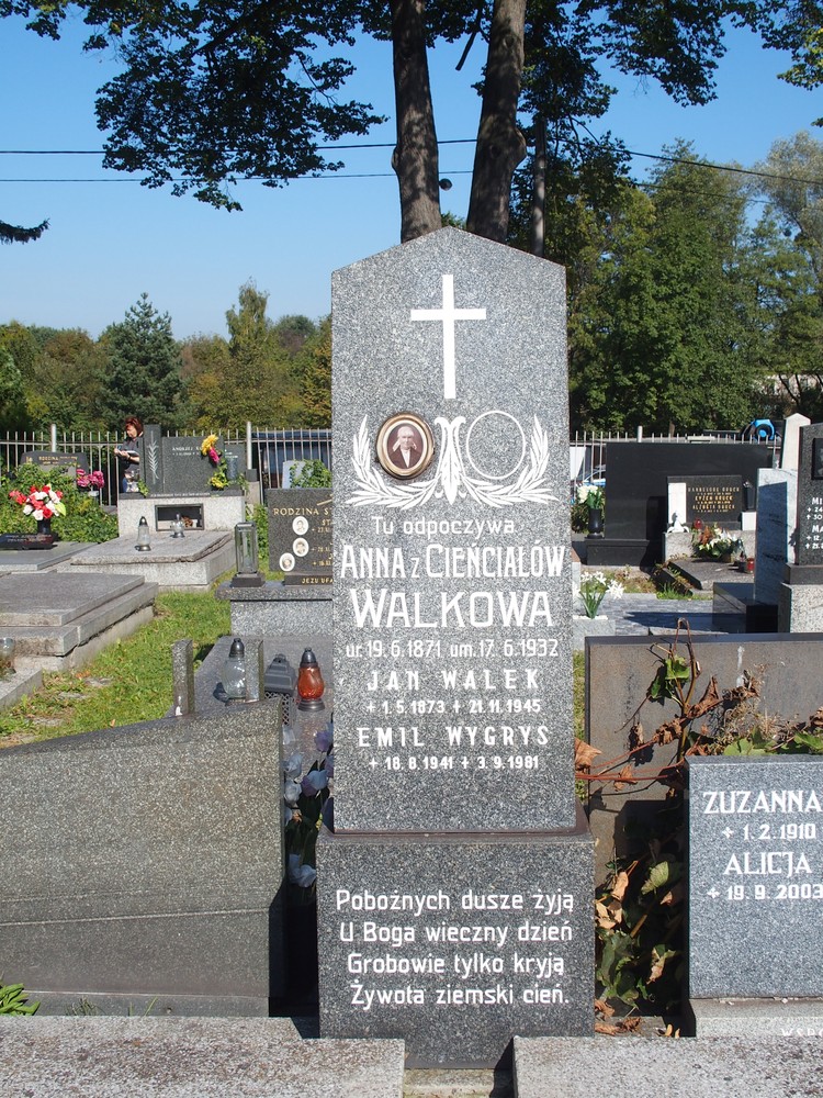 Photo montrant Tombstone of the Walsh and Wygrys families