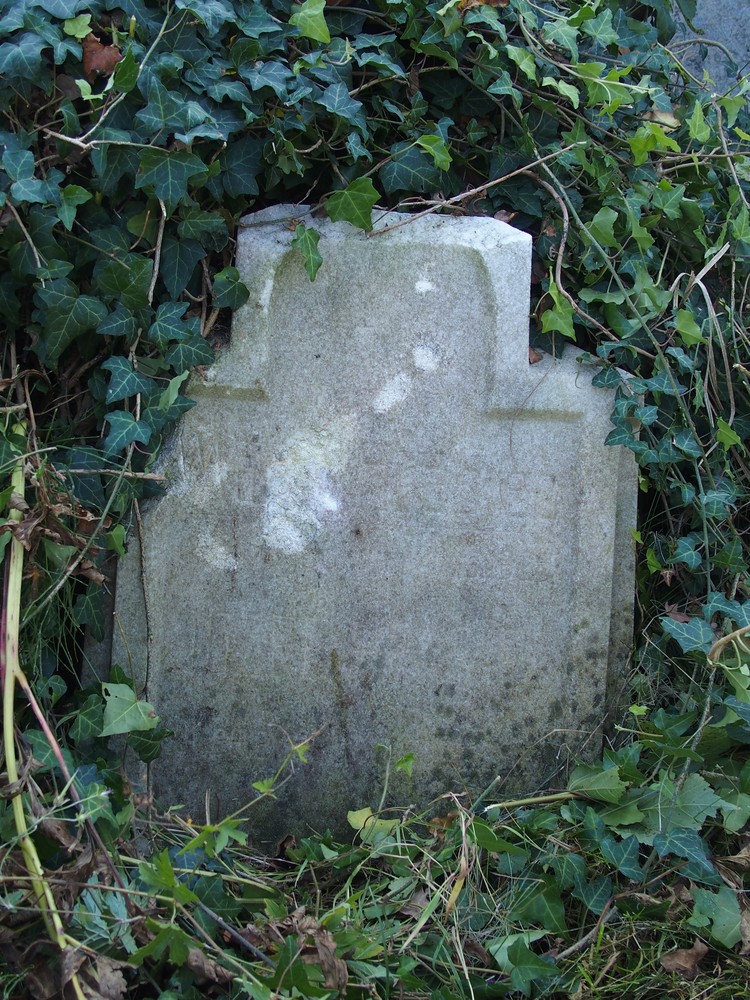 Fotografia przedstawiająca Tombstone of the Hrabiec family
