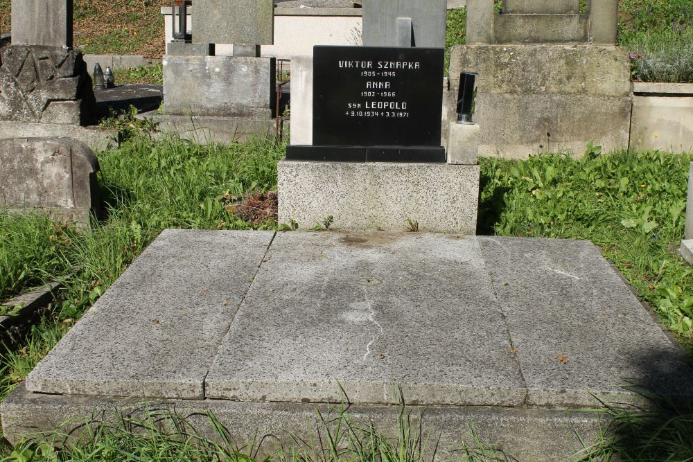 Tombstone of the Sznapka family