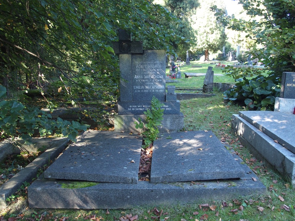 Photo showing Tombstone of the Wallach family