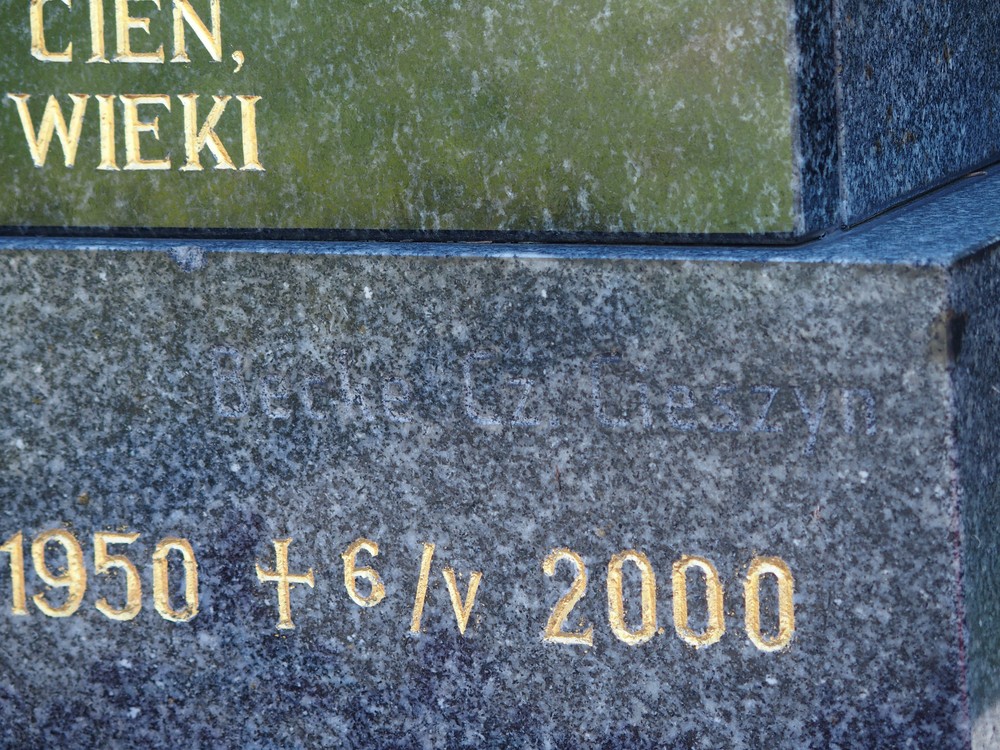 Photo montrant Tombstone of the Zielin family