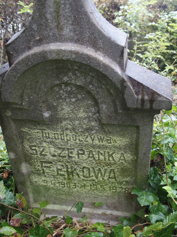 Fotografia przedstawiająca Nagrobek Szczepanka Feikowa