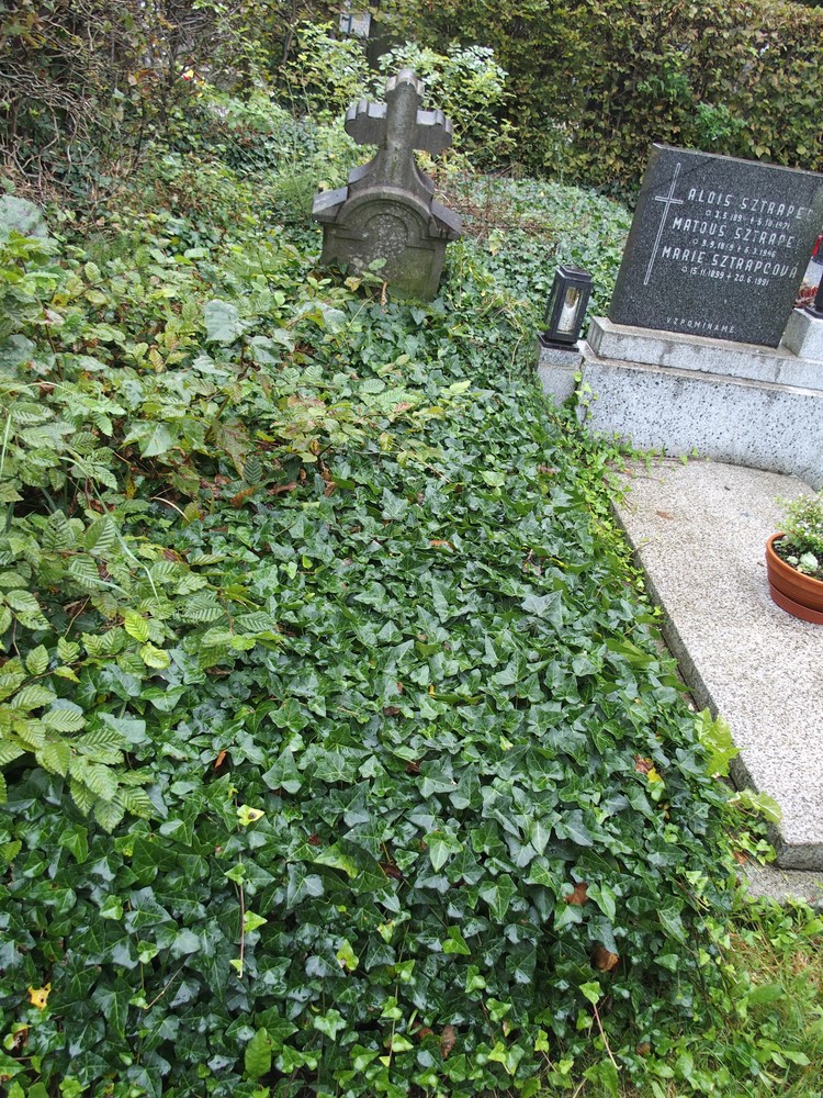 Fotografia przedstawiająca Nagrobek Szczepanka Feikowa