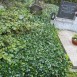 Fotografia przedstawiająca Nagrobek Szczepanka Feikowa