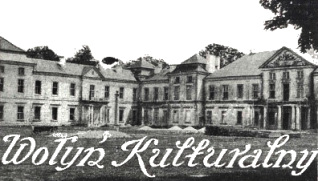 Pałac Wiśniowieckich i Mniszchów w Wśniowcu, w latach 1920-1939 sierociniec