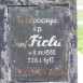Fotografia przedstawiająca Tombstone of Józef Firla