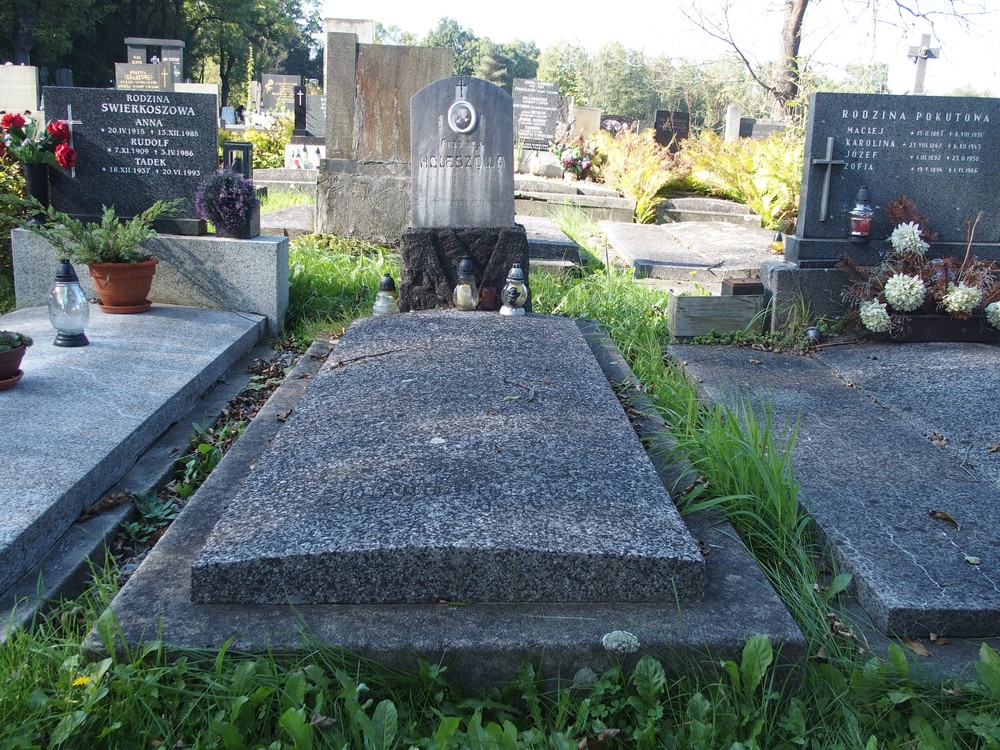 Fotografia przedstawiająca Tombstone of Anastasia and Eduard Holeszek